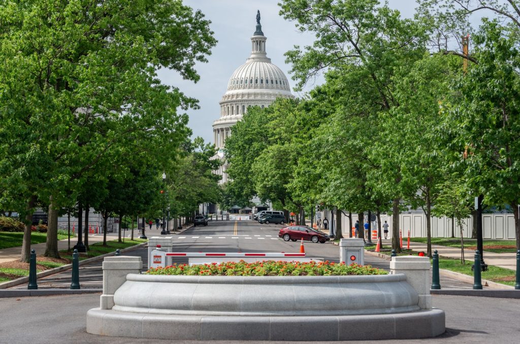 United States Capitol building framed by trees